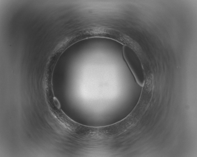 X0000069790732200606021412