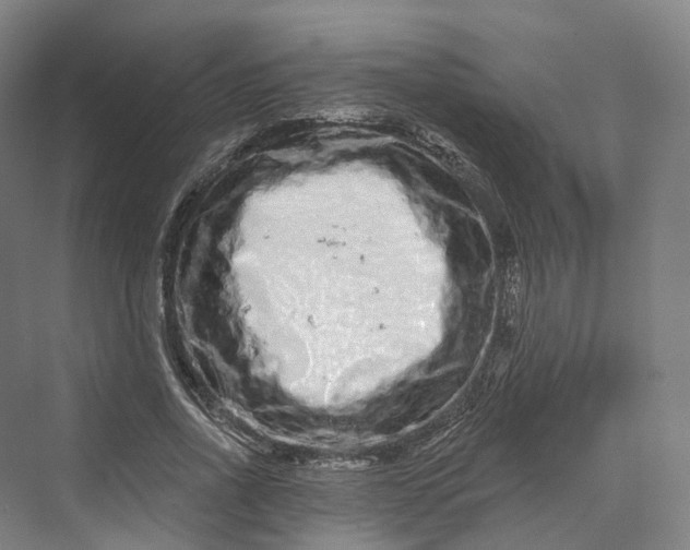 X0000069790734200606021412