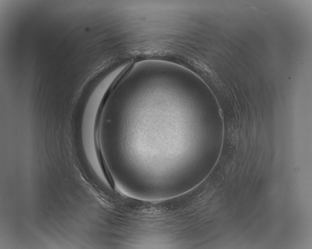 X0000069790735200606021412