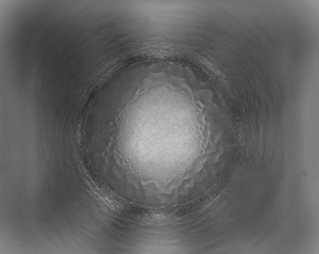 X0000069790737200606021412