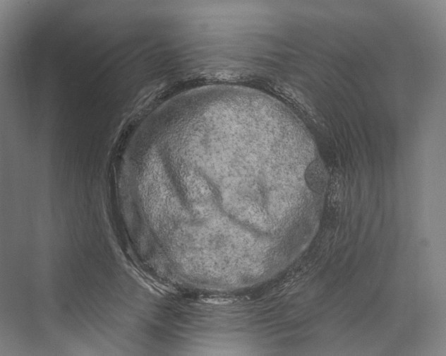 X0000069790738200606021412