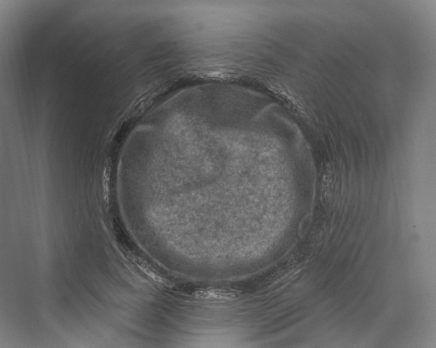 X0000069790739200606021412