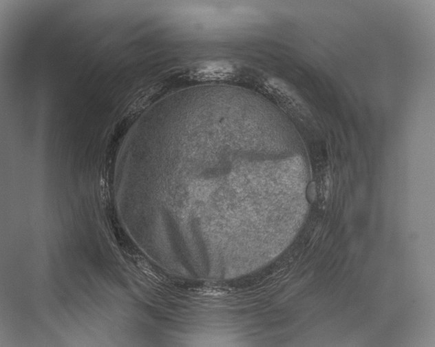 X0000069790743200606021413