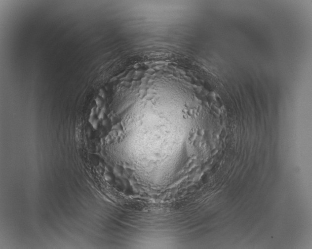 X0000069790745200606021413