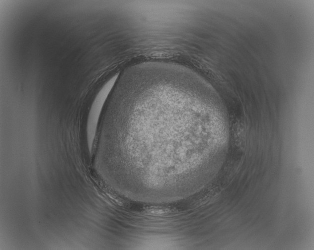 X0000069790746200606021413