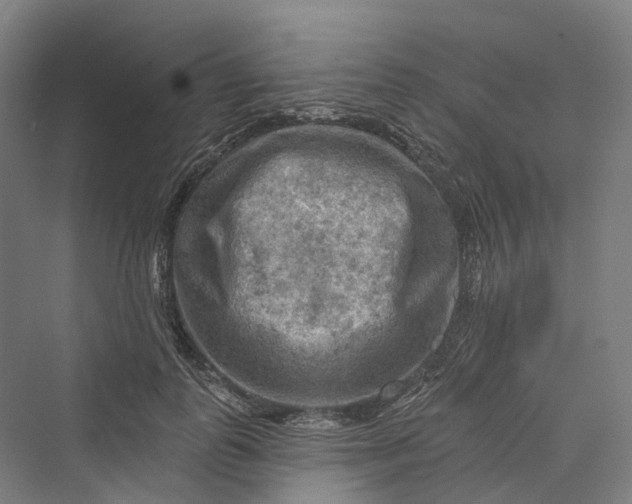 X0000069790747200606021413