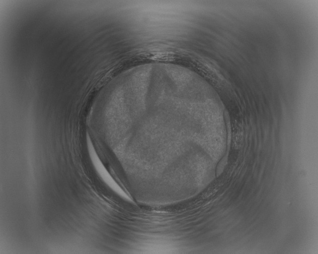 X0000069790748200606021413