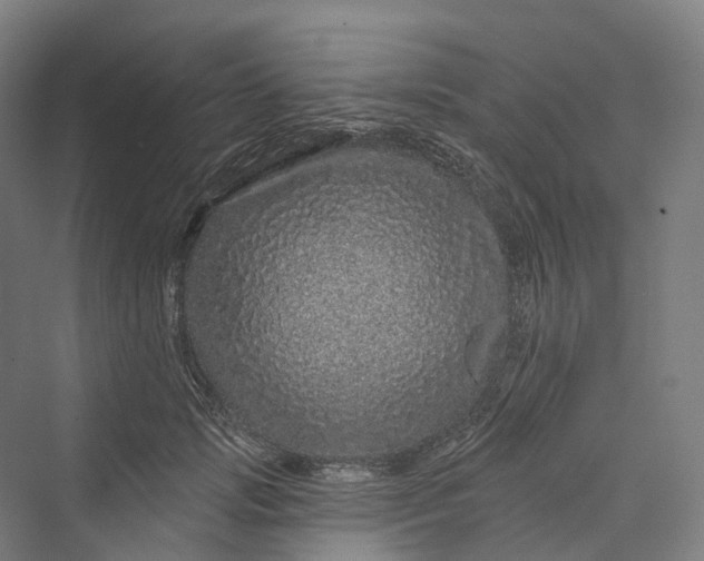 X0000069790749200606021413