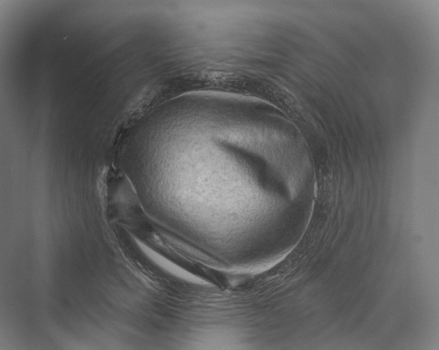 X0000069790750200606021413