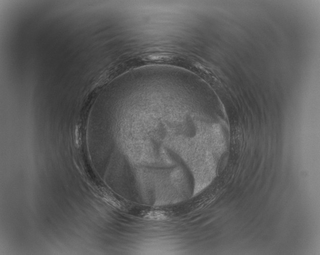 X0000069790751200606021413