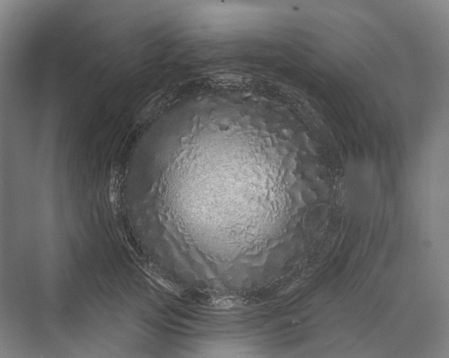 X0000069790753200606021413