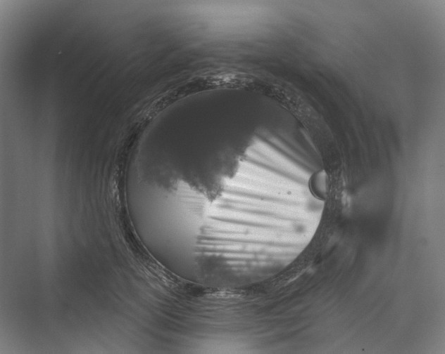 X0000069790754200606021413