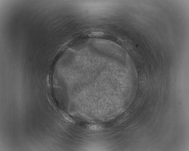 X0000069790755200606021413