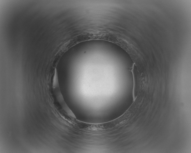 X0000069790756200606021413