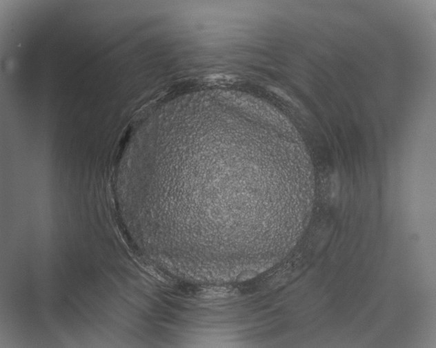 X0000069790757200606021413