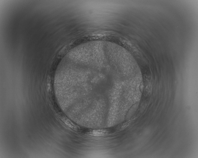 X0000069790758200606021413