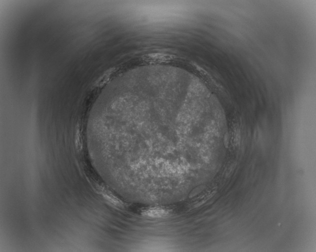 X0000069790759200606021413