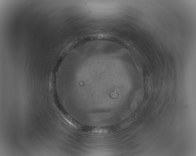 X0000069790760200606021413