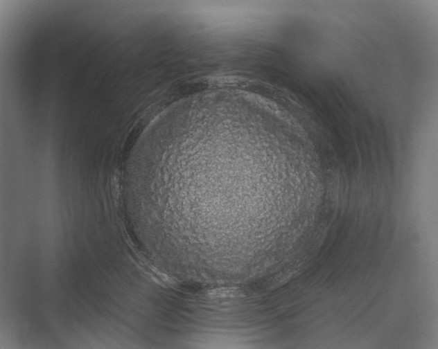 X0000069790761200606021413