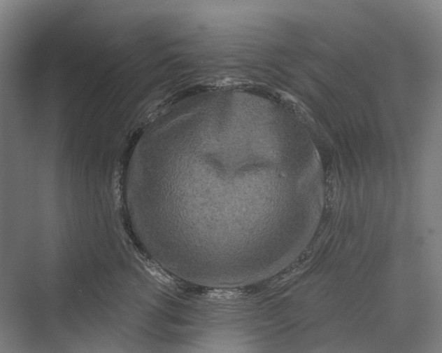 X0000069790762200606021413