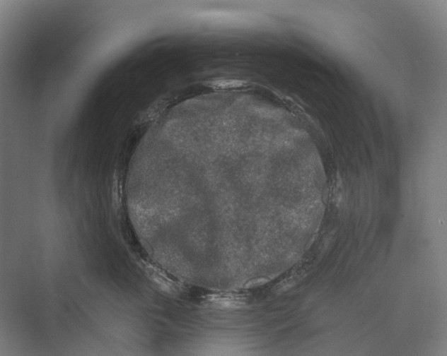 X0000069790763200606021413