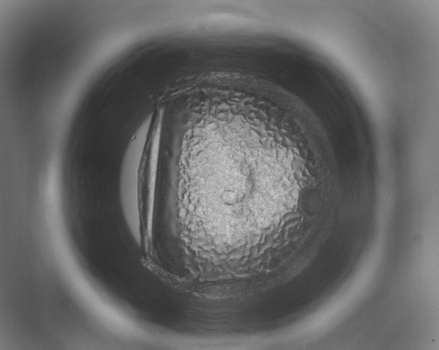 X0000069790765200606021413