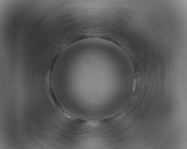 X0000069790767200606021413