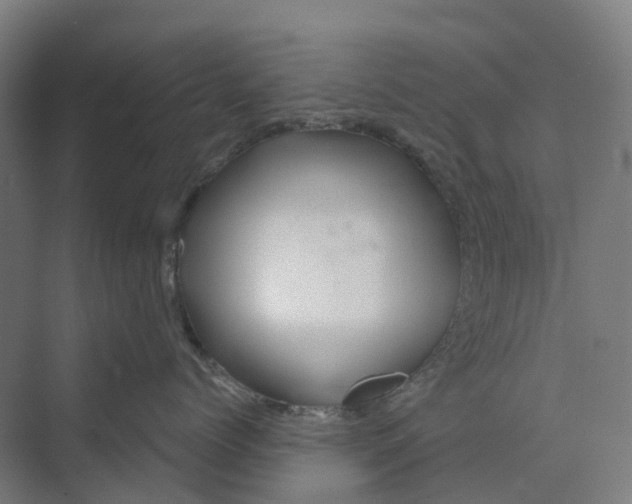 X0000069790768200606021413