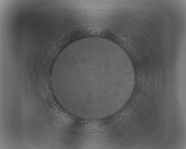 X0000069790769200606021412