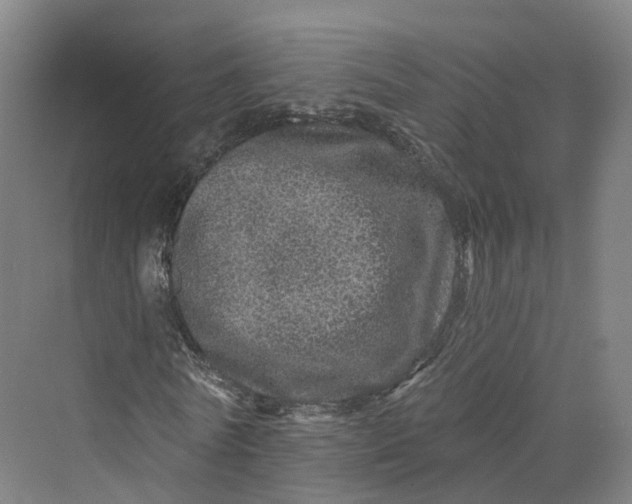 X0000069790770200606021412