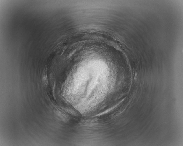 X0000069790771200606021412