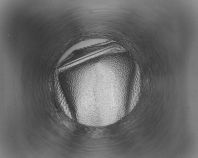 X0000069790772200606021412