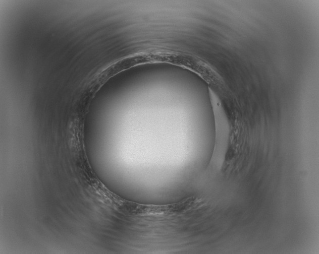 X0000069790773200606021412