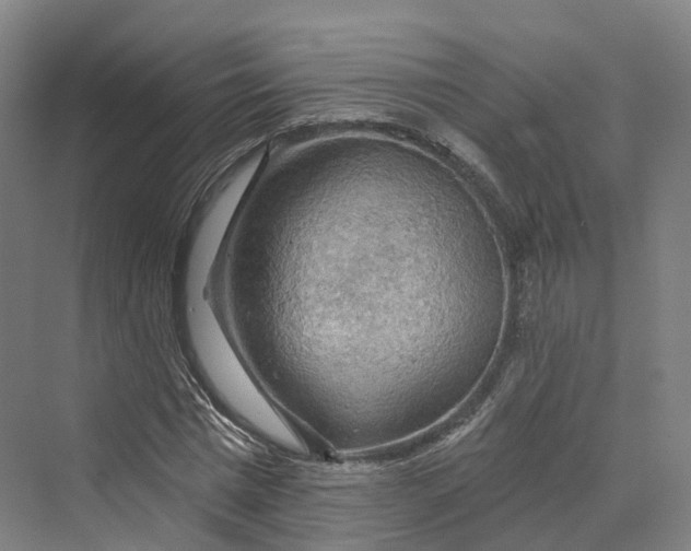 X0000069790777200606021412