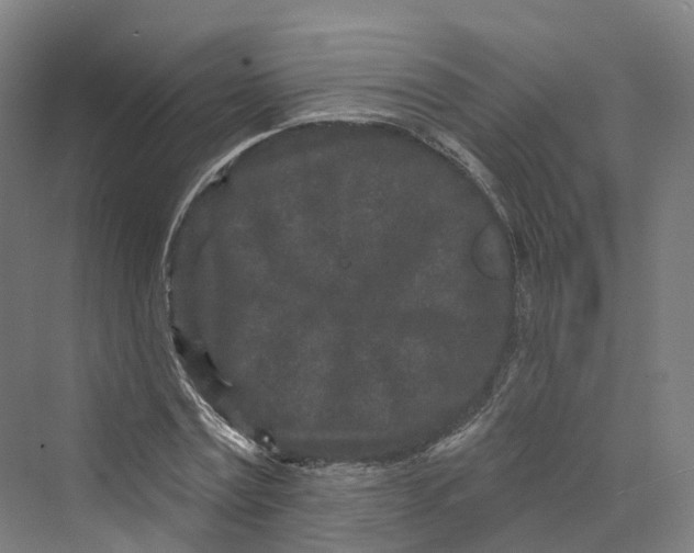 X0000069790779200606021412