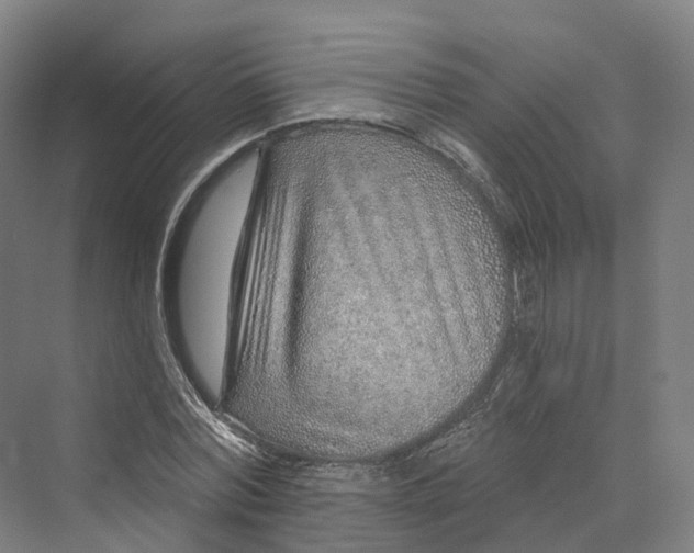 X0000069790780200606021412