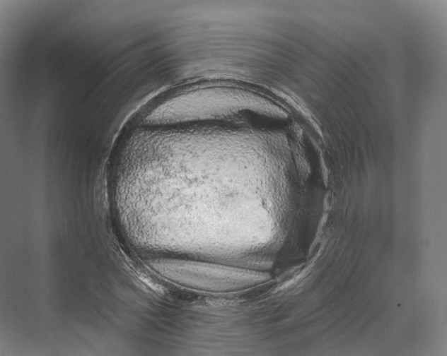 X0000069790782200606021412