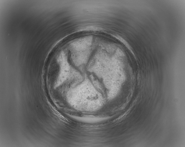 X0000069790783200606021412