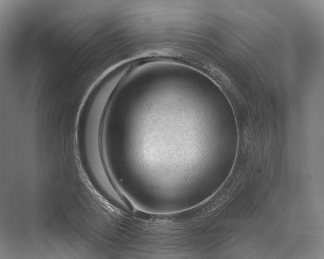 X0000069790784200606021412