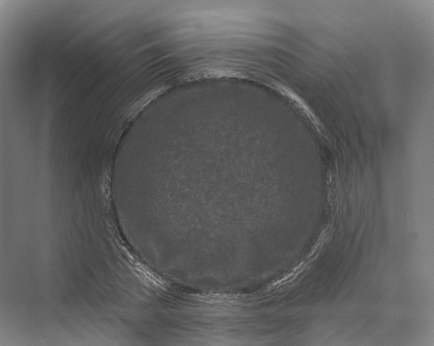 X0000069790785200606021412