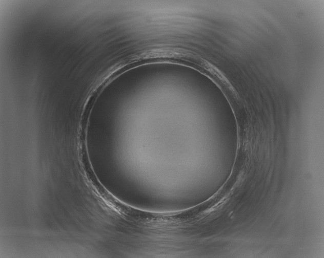 X0000069790786200606021412