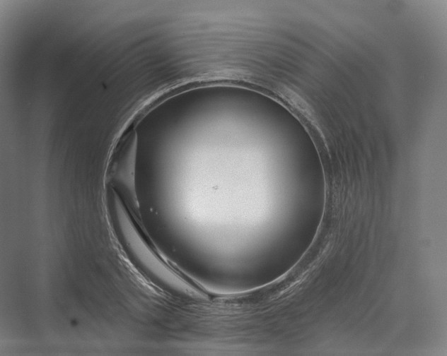 X0000069790789200606021412