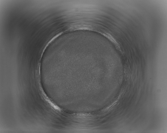 X0000069790790200606021412