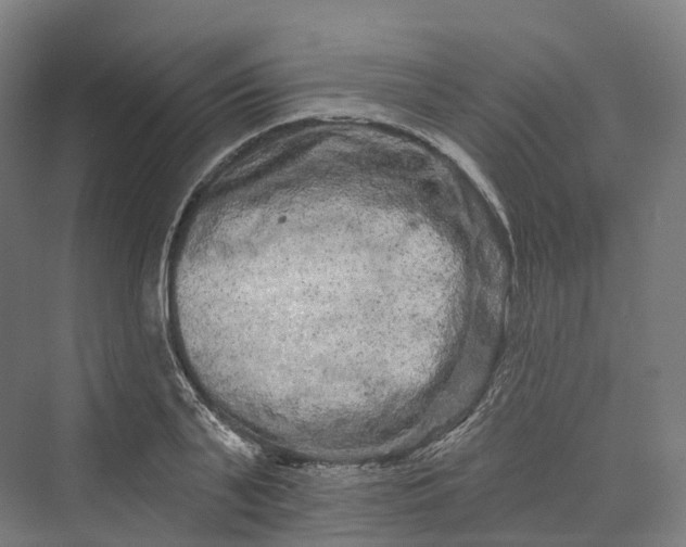 X0000069790791200606021412