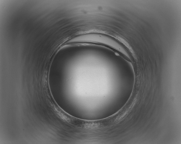 X0000069790793200606021412