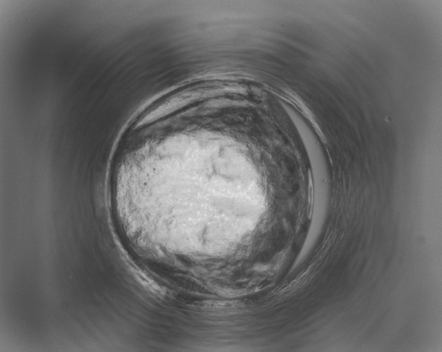 X0000069790795200606021412