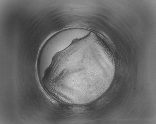 X0000069790796200606021412