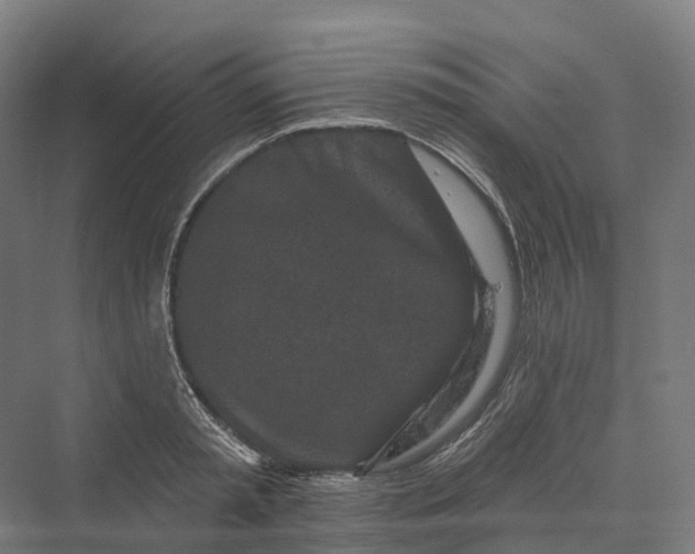 X0000069790797200606021412