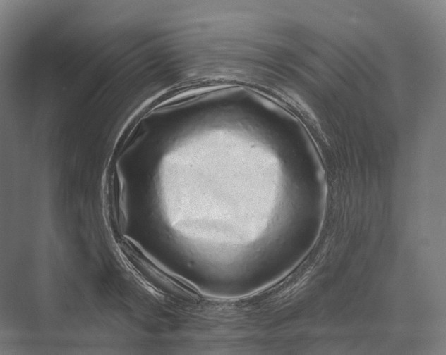 X0000069790798200606021412