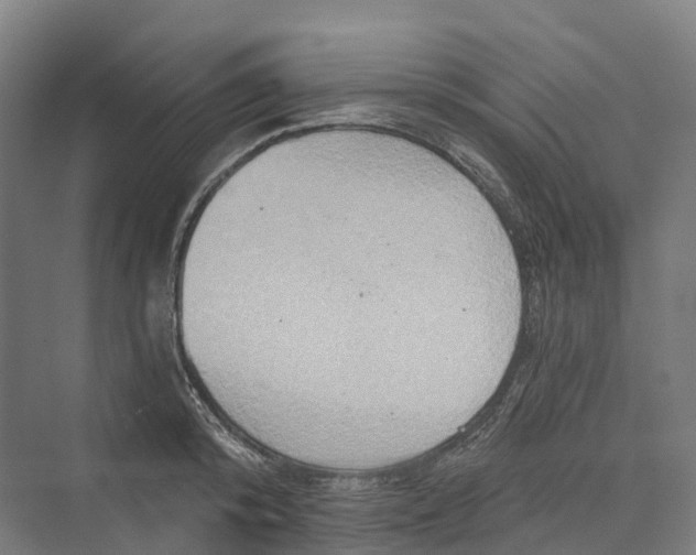 X0000069790800200606021412